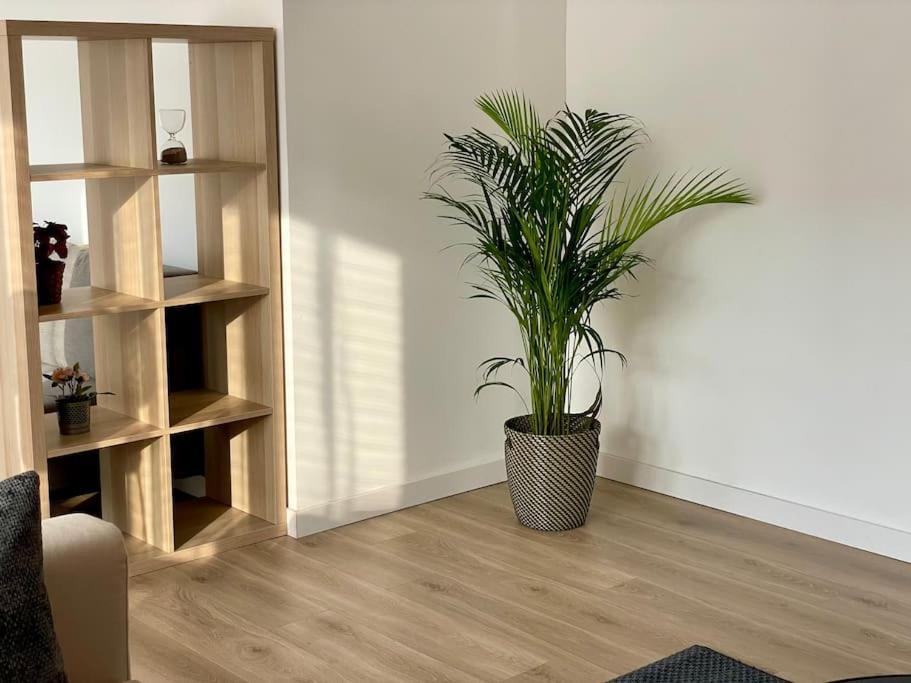 Appartement 73M2 - 2 Chambres - Parking - Wi-Fi Tuluza Zewnętrze zdjęcie