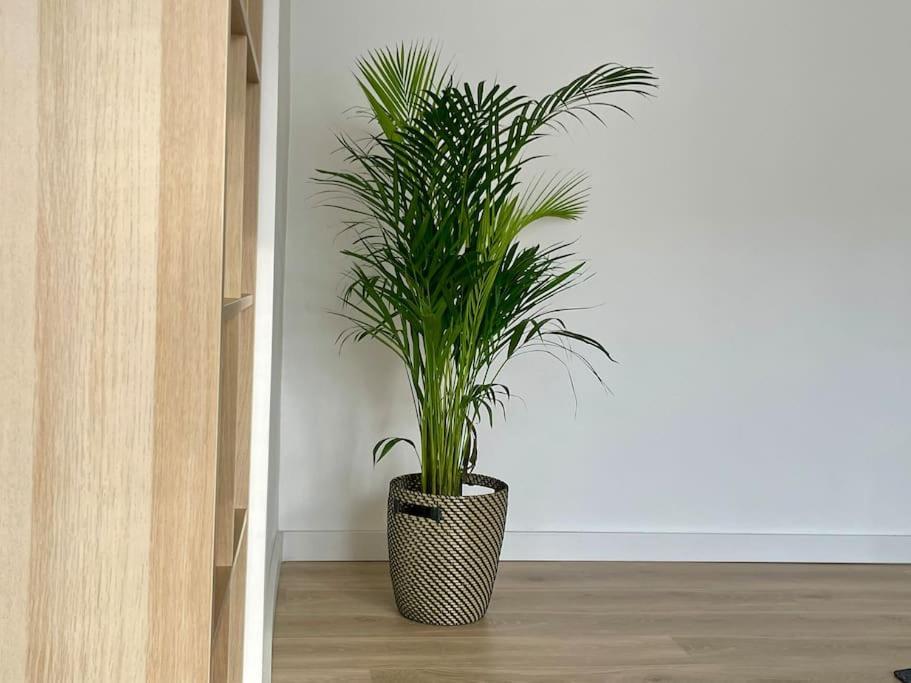 Appartement 73M2 - 2 Chambres - Parking - Wi-Fi Tuluza Zewnętrze zdjęcie